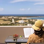 Olive Vista *