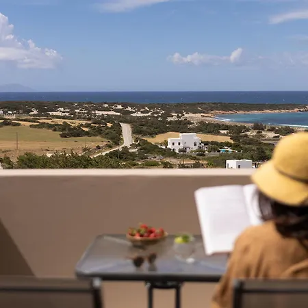 Olive Vista